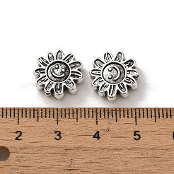Tibetan Style Alloy Beads&nbsp;PALLOY-P302-12B-AS