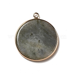 Natural Labradorite Pendants&nbsp;G-A213-01G-12