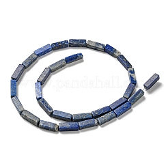 Natural Lapis Lazuli Beads Strands&nbsp;G-C084-C01-01