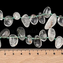 Natural Green Lodolite Quartz Beads Strands&nbsp;G-P604-A20-01