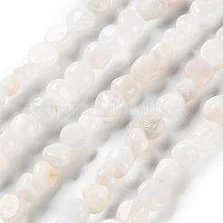 Natural Rainbow Moonstone Beads Strands&nbsp;G-P497-01C-63