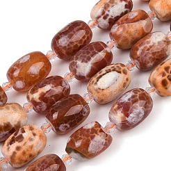 Natural Fire Crackle Agate Beads Strands&nbsp;G-K393-G05-13x18