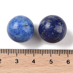 Natural Lapis Lazuli No Hole Sphere Beads&nbsp;G-K353-04D-10