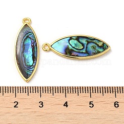 Natural Paua Shell Pendants&nbsp;KK-E059-13G