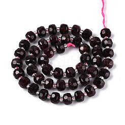 Natural Garnet Beads Strands&nbsp;G-T144-A01-04