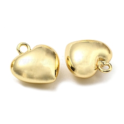 Brass Pendants&nbsp;KK-K341-10B-G
