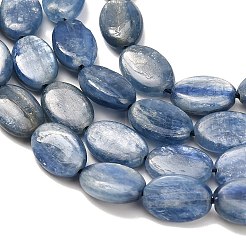 Natural Kyanite Beads Strands&nbsp;G-H335-D01-8x12mm