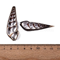Natural Turritella Shell Pendants&nbsp;SSHEL-N042-25