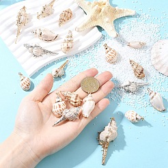 5Pcs Electroplate Natural Spiral Shell Pendants&nbsp;BSHE-YW0001-09