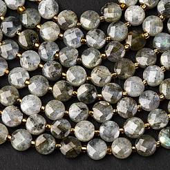 Natural Labradorite Beads Strands&nbsp;G-K389-B66-01