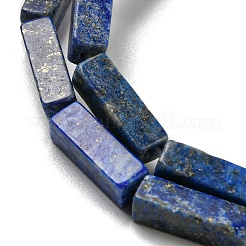 Natural Lapis Lazuli Beads Strands&nbsp;G-C084-C01-01