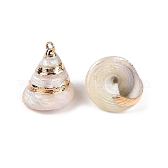 Natural Sea Shell Pendants&nbsp;SSHEL-N038-58A