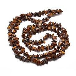 Natural Tiger Eye Chip Bead Strands&nbsp;G-M205-03
