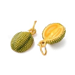 Alloy Enamel Pendants&nbsp;X-FIND-O003-10A-MG