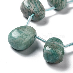Natural Amazonite Beads Strands&nbsp;G-P528-E04-01