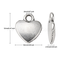 Tibetan Style Alloy Charms&nbsp;LF1170Y