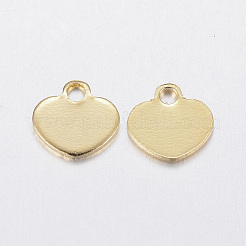 304 Stainless Steel Charms&nbsp;STAS-F160-29G