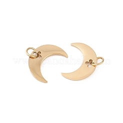 304 Stainless Steel Charms&nbsp;STAS-D390-25G