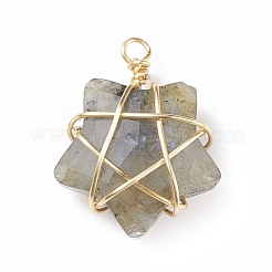 Natural Gemstone Pendants&nbsp;PALLOY-JF01457-01