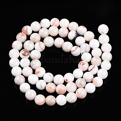 Natural Persian Jade Beads Strands&nbsp;G-A255-A02-01K