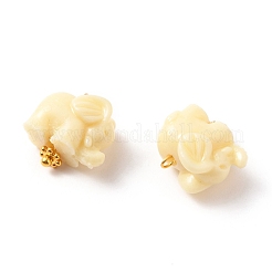 Dyed Synthetic Coral Pendants&nbsp;PALLOY-JF00558-02