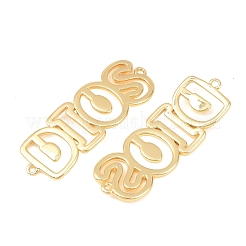 Brass Hollow Connector Charm&nbsp;KK-F931-28A-G