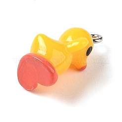 Opaque Resin Pendants&nbsp;RESI-S399-04