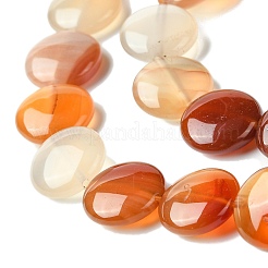 Flat Round Gemstone Natural Red Agate Stone Beads Strands&nbsp;G-S110-14mm-03