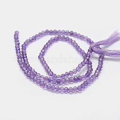 Natural Amethyst Bead Strands&nbsp;X-G-P271-3mm-09