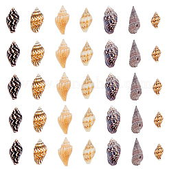 1550Pcs Natural Spiral Shell Beads&nbsp;SSHEL-DC0001-04