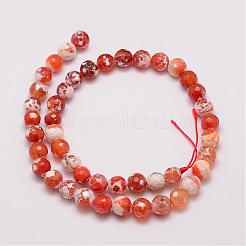 Natural Fire Crackle Agate Bead Strands&nbsp;G-G882-8mm-B03