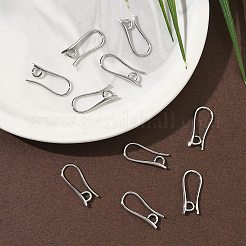 SHEGRACE Brass Earring Hooks&nbsp;XGR0003P-42P