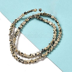 Natural Dalmatian Jasper Beads Strands&nbsp;G-G085-B13-01