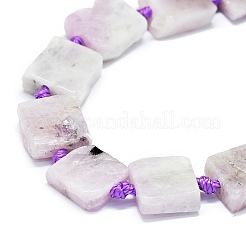 Natural Kunzite Beads Strands&nbsp;G-F725-25