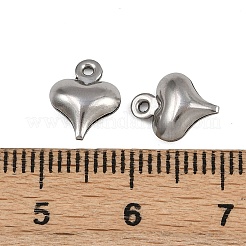 304 Stainless Steel Charms&nbsp;STAS-L297-09P
