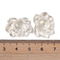 Baking Paint Glass Beads&nbsp;GLAA-S202-13F
