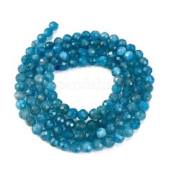 Natural Apatite Beads Strands&nbsp;X-G-Z057-B02-02