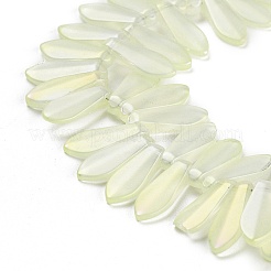 Electroplate Glass Beads Strands&nbsp;EGLA-C005-01A-FR02