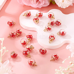 20Pcs Transparent Glass Globe Pendants&nbsp;GLAA-TA0003-57B