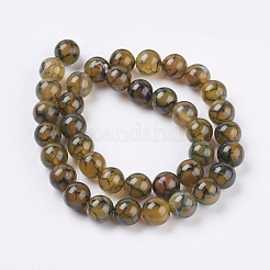 Natural Dragon Veins Agate Beads Strands&nbsp;X-G-G515-10mm-02A