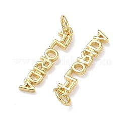 Brass Pendants&nbsp;KK-H256-02G-04