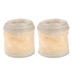 Polyester Deco Mesh Ribbons&nbsp;OCOR-TAC0024-004F