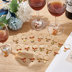 24Pcs 12 Style Alloy Enamel with Rhinestone Pendant & Brass Ring Wine Glass Charms&nbsp;AJEW-AB00054