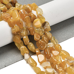 Natural Gemstone Beads Strands&nbsp;G-P497-01E-14