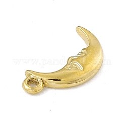 304 Stainless Steel Pendants&nbsp;STAS-P316-19G