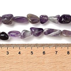 Natural Amethyst Beads Strands&nbsp;G-C268-A05-8x10mm