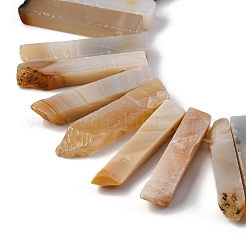 Natural Dendritic Agate Beads Strands&nbsp;G-E331-17-01