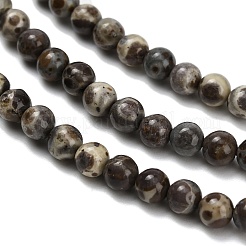 Natural Astroite Jasper Beads Strands&nbsp;G-F814-A01-4mm