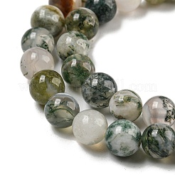 Natural Tree Agate Round Gemstone Beads Strands&nbsp;X-G-R255-6mm
