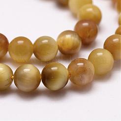 Natural Tiger Eye Bead Strands&nbsp;G-D840-54-8mm-03